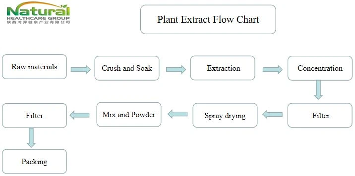 flow chat