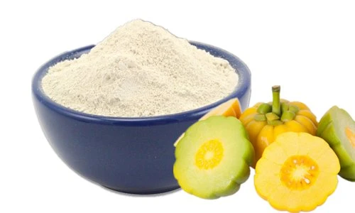 Garcinia Cambogia Extract Powder Garcinia Cambogia Extract Powder