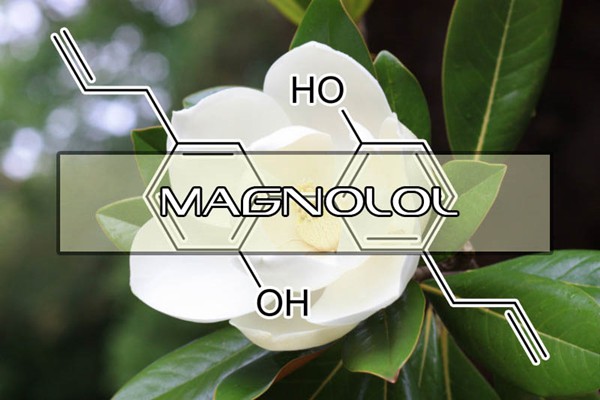 Magnolol Magnolol