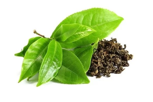 Tea Polyphenols