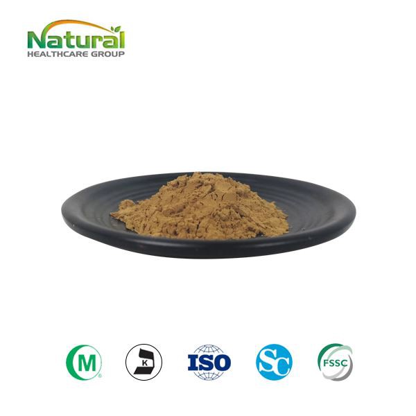 Cissus Quadrangularis 추출물 분말