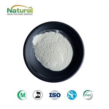 치커리 루트 이눌린 분말